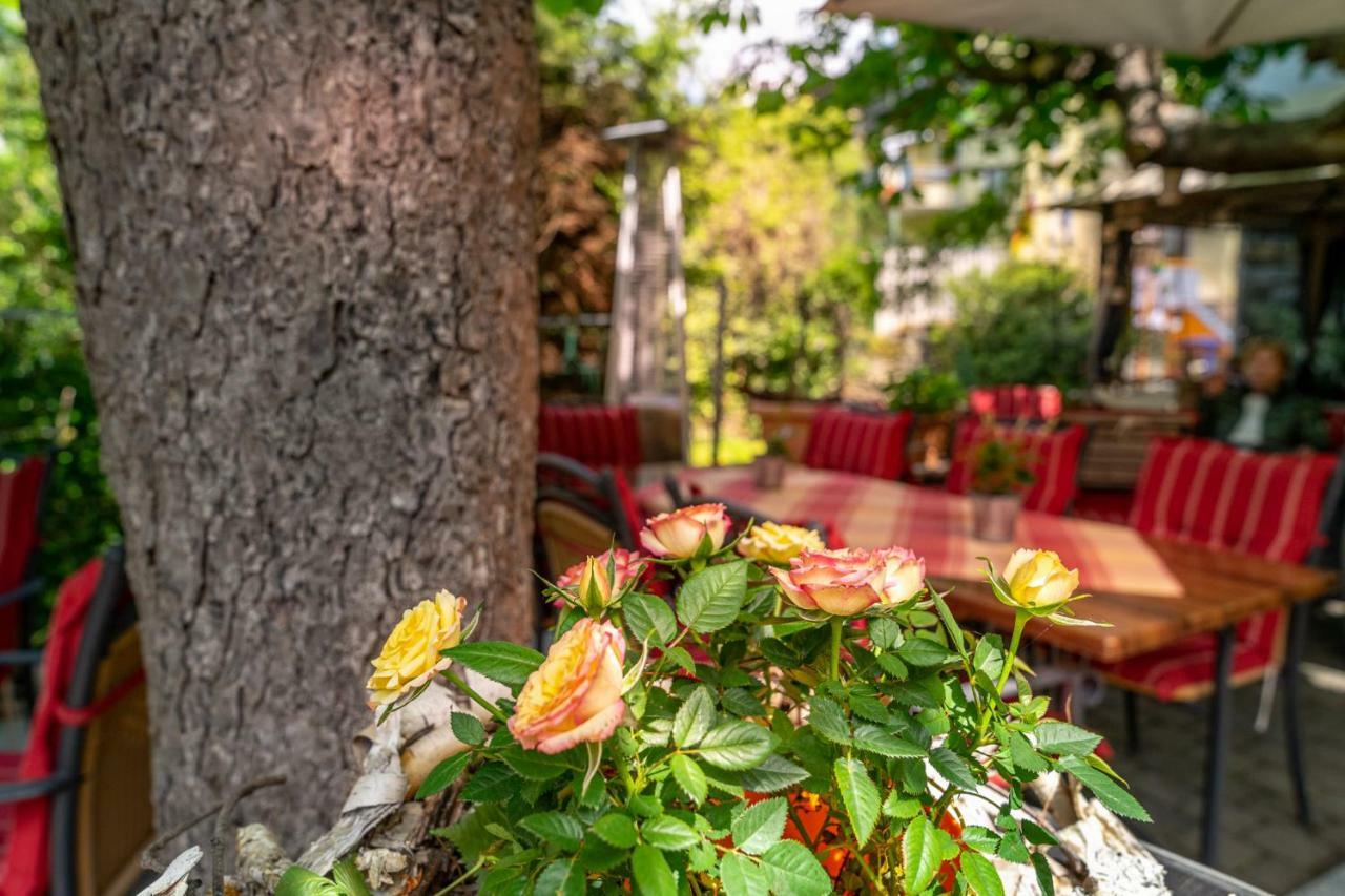 Goldener Pfropfenzieher أوبرفيزل المظهر الخارجي الصورة